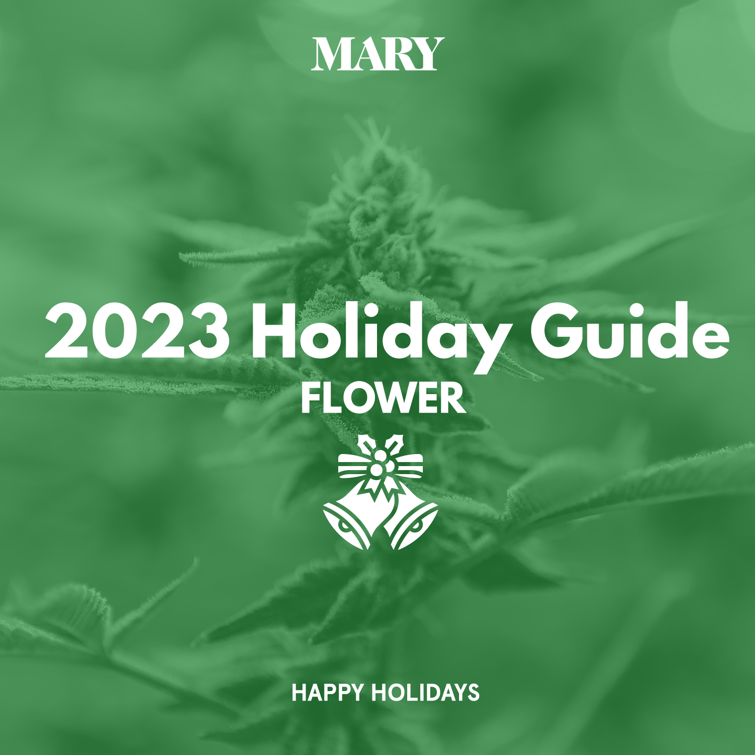 2023 Holiday Guide Flower